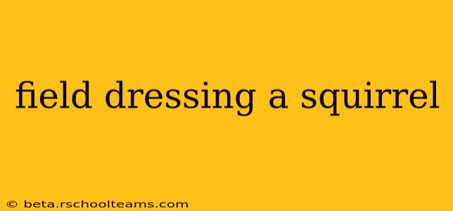field dressing a squirrel