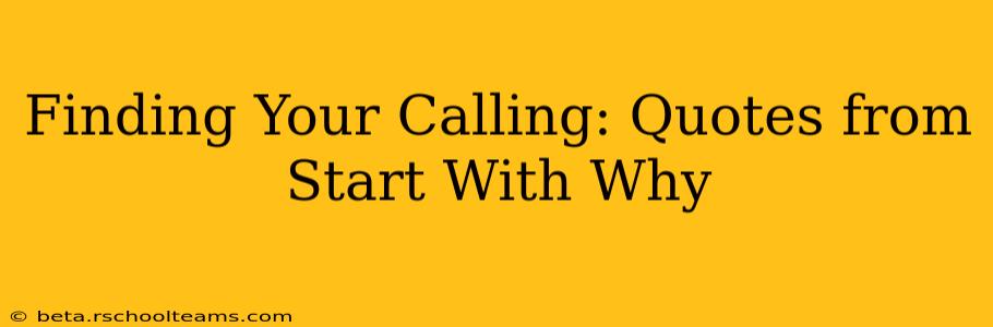 Finding Your Calling: Quotes from Start With Why