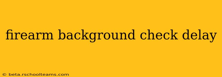 firearm background check delay