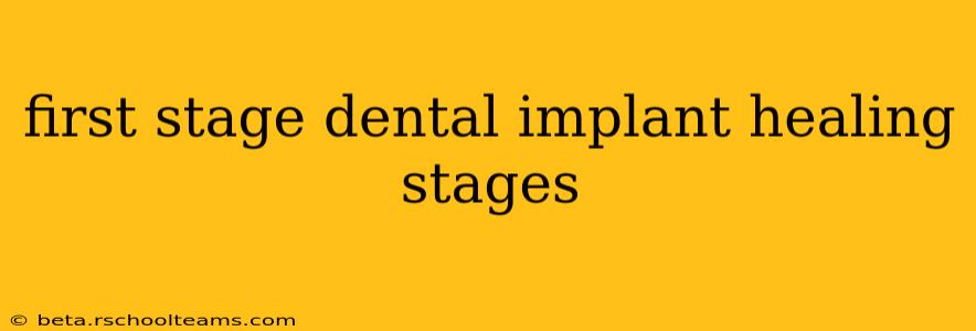 first stage dental implant healing stages
