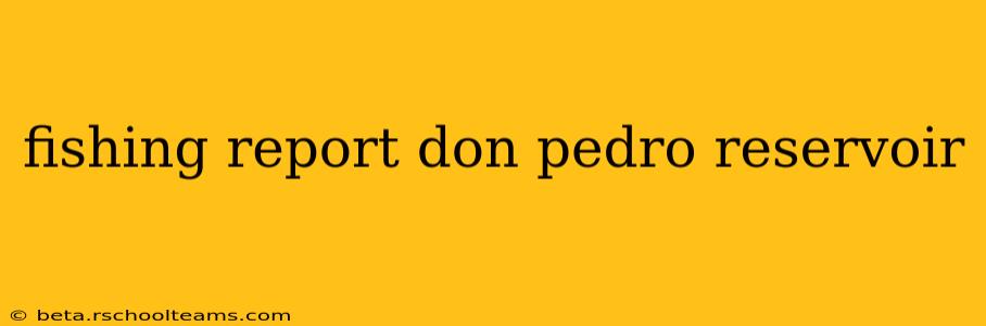 fishing report don pedro reservoir