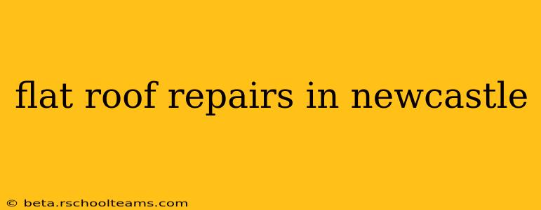 flat roof repairs in newcastle