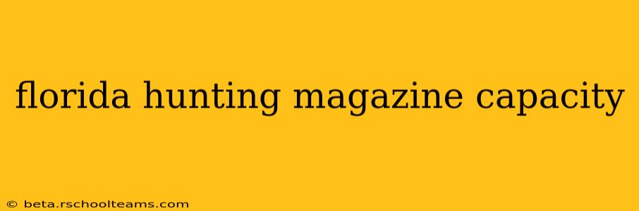 florida hunting magazine capacity