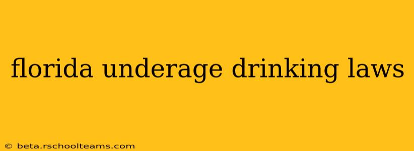 florida underage drinking laws