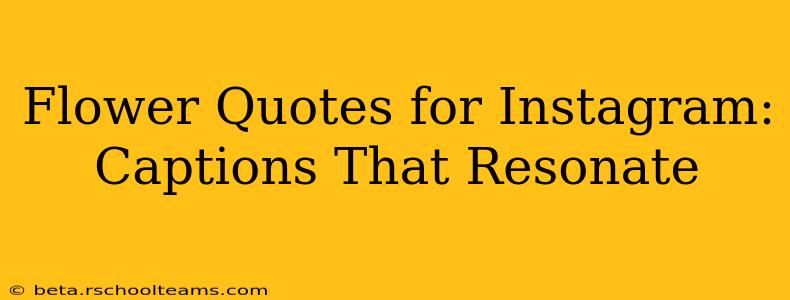 Flower Quotes for Instagram: Captions That Resonate