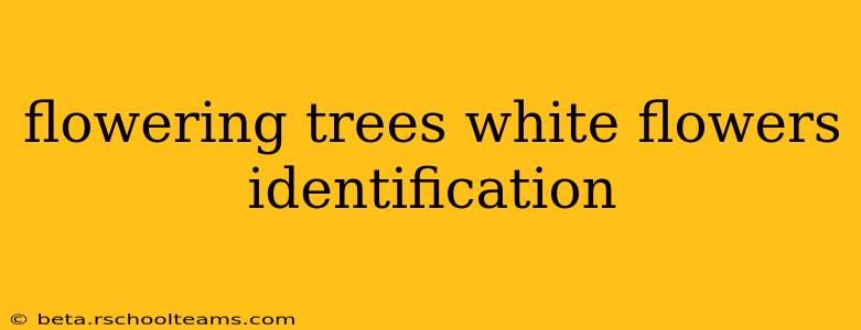 flowering trees white flowers identification