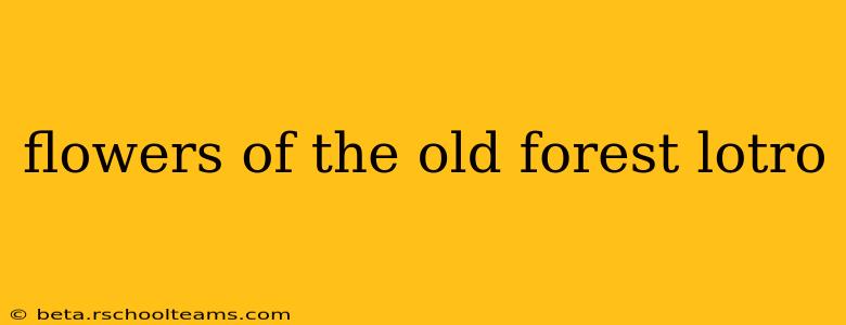 flowers of the old forest lotro