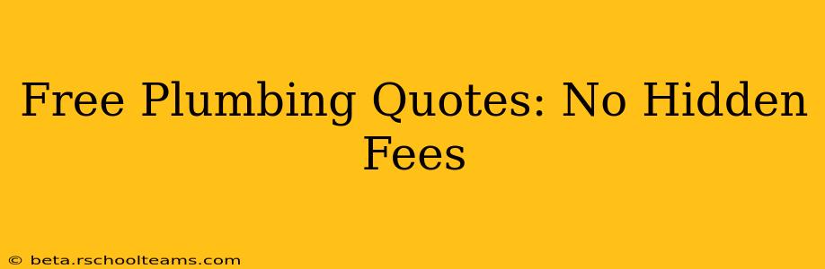 Free Plumbing Quotes: No Hidden Fees