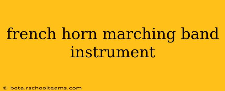french horn marching band instrument