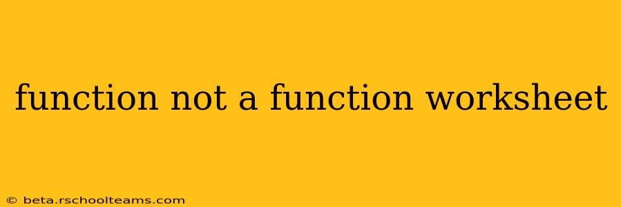 function not a function worksheet