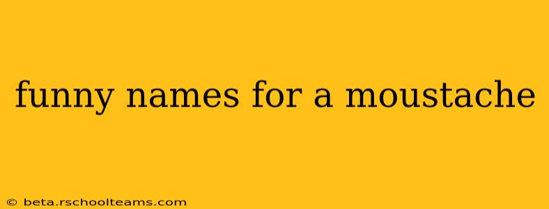 funny names for a moustache