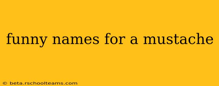 funny names for a mustache