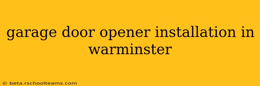 garage door opener installation in warminster