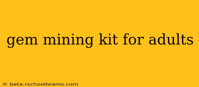 gem mining kit for adults