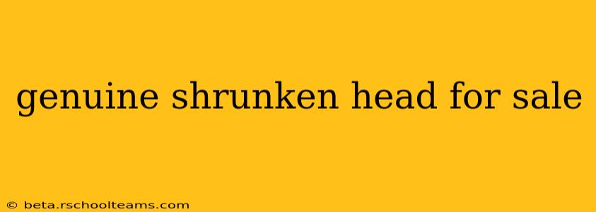 genuine shrunken head for sale