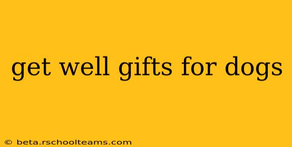 get well gifts for dogs