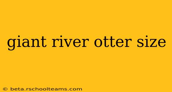 giant river otter size