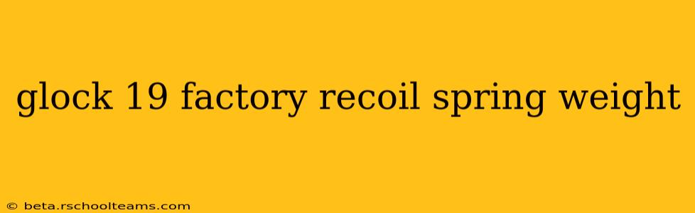 glock 19 factory recoil spring weight