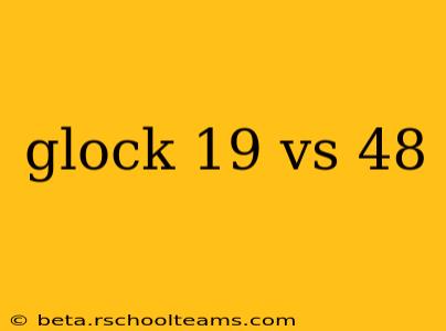 glock 19 vs 48