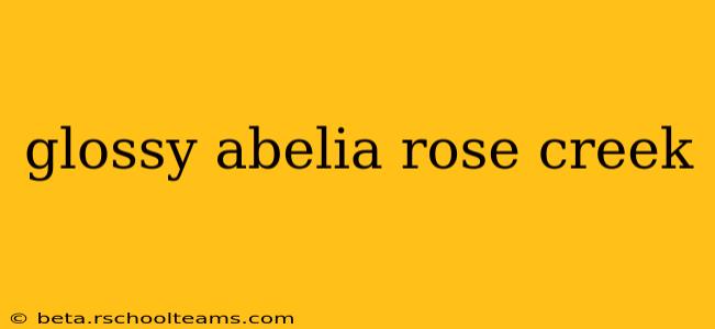 glossy abelia rose creek