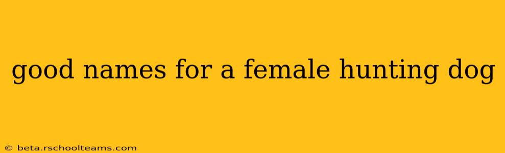 good names for a female hunting dog