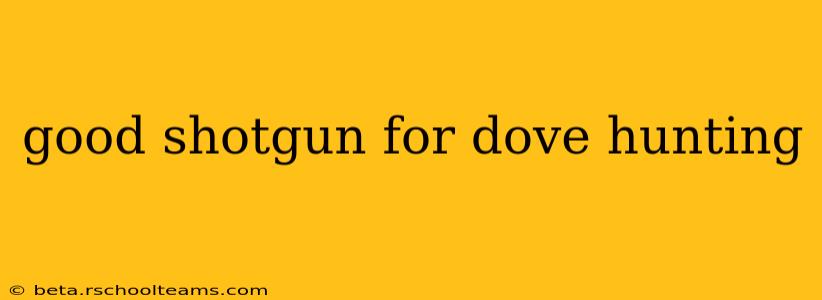 good shotgun for dove hunting