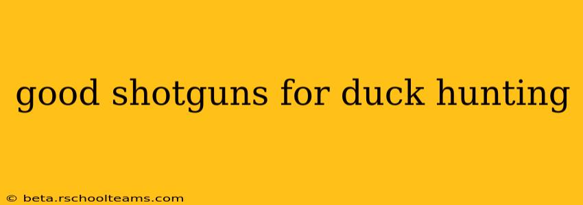 good shotguns for duck hunting