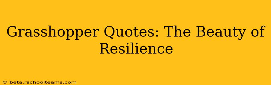 Grasshopper Quotes: The Beauty of Resilience