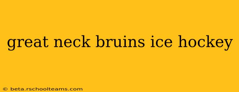 great neck bruins ice hockey