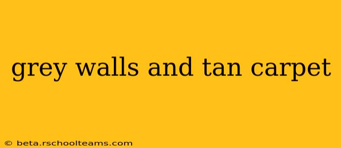 grey walls and tan carpet