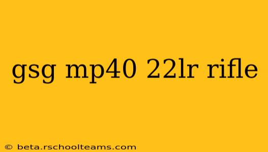 gsg mp40 22lr rifle