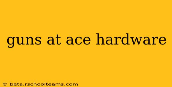 guns at ace hardware