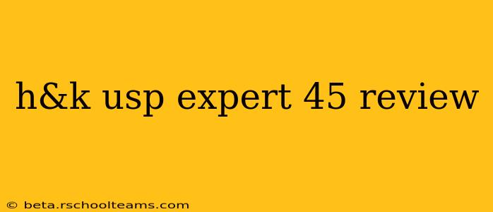 h&k usp expert 45 review