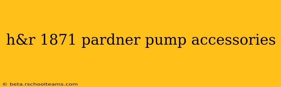h&r 1871 pardner pump accessories