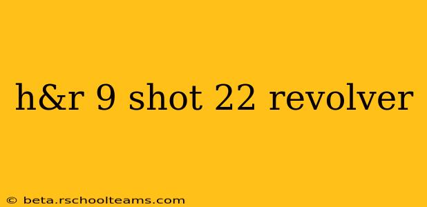 h&r 9 shot 22 revolver