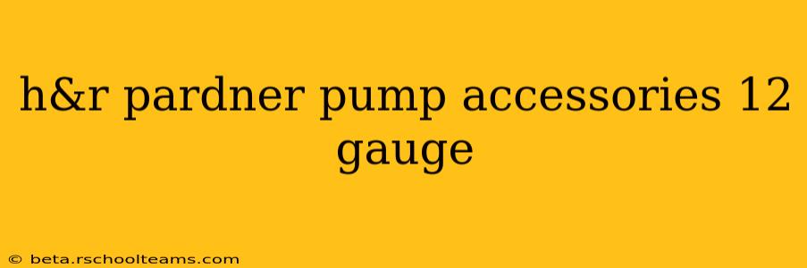 h&r pardner pump accessories 12 gauge