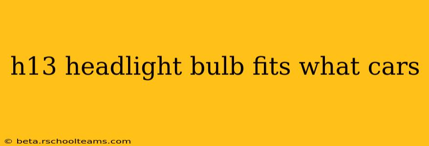 h13 headlight bulb fits what cars