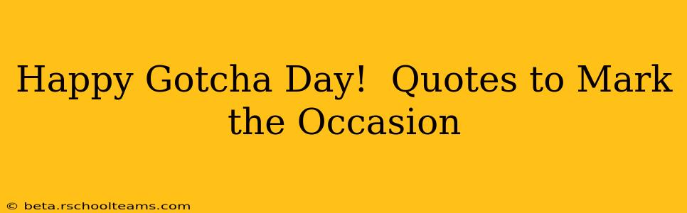 Happy Gotcha Day!  Quotes to Mark the Occasion