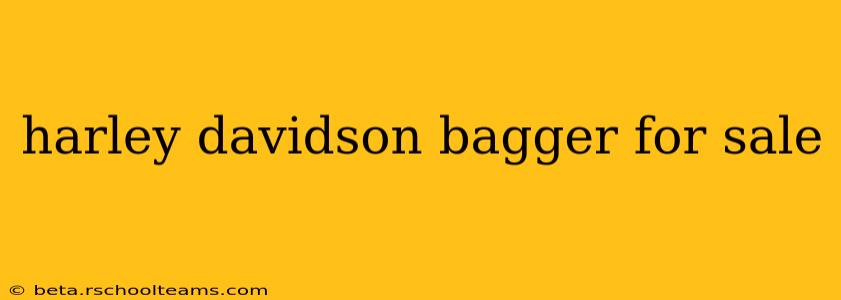 harley davidson bagger for sale