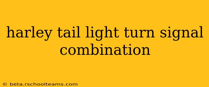 harley tail light turn signal combination