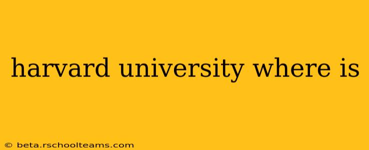 harvard university where is