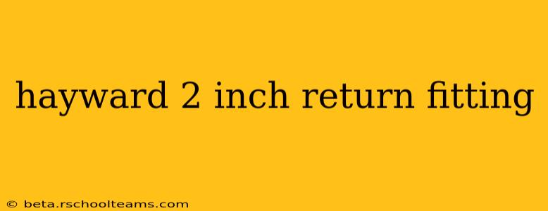 hayward 2 inch return fitting