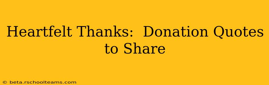 Heartfelt Thanks:  Donation Quotes to Share