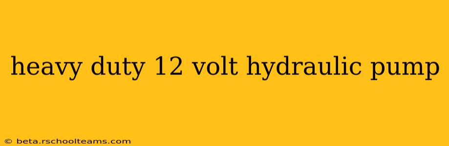 heavy duty 12 volt hydraulic pump