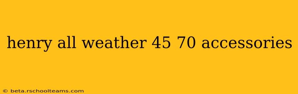 henry all weather 45 70 accessories