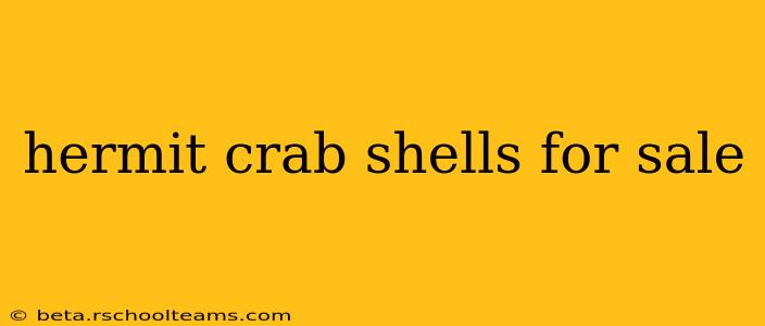 hermit crab shells for sale