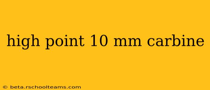 high point 10 mm carbine