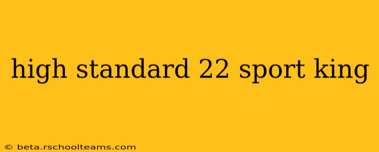 high standard 22 sport king