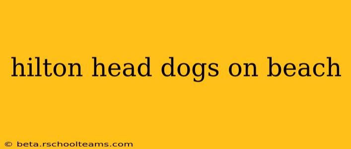 hilton head dogs on beach