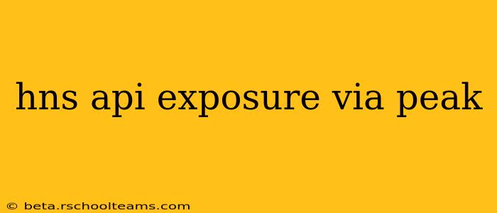 hns api exposure via peak